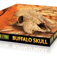 Pääkallo Exoterra Buffalo Skull terraarioon