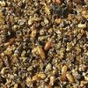 Häkkilintujen erikoisravinto Insect Patee suoranokkaisille lemmikkilinnuille