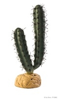 Terraariotarvikkeet kasvit Exoterra Finger Cactus