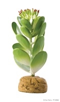 Tekokasvi terraarioon Exoterra Jade Cactus