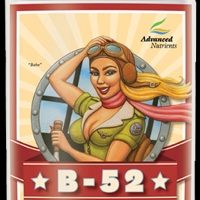 Hydroviljelylannoite AN B-52