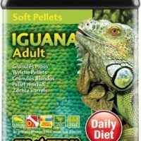 Terraarioeläinten ruokinta Exoterra Iguana