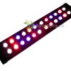 led kasvivalaisin 20w 1w ledeillä