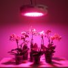 LED kasvivalaisin ufo 2-gen nettikauppa