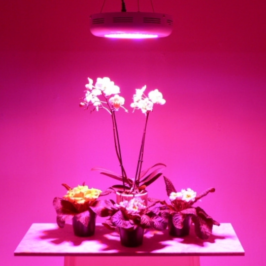 LED valaisin kasveille 50w