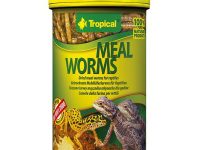 Kuivattu jauhomato terraarioeläimille tropical mealworms