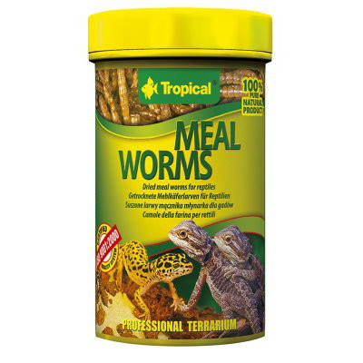 Kuivattu jauhomato terraarioeläimille tropical mealworms